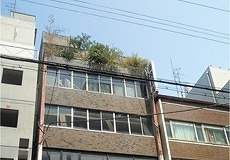 08.jpg